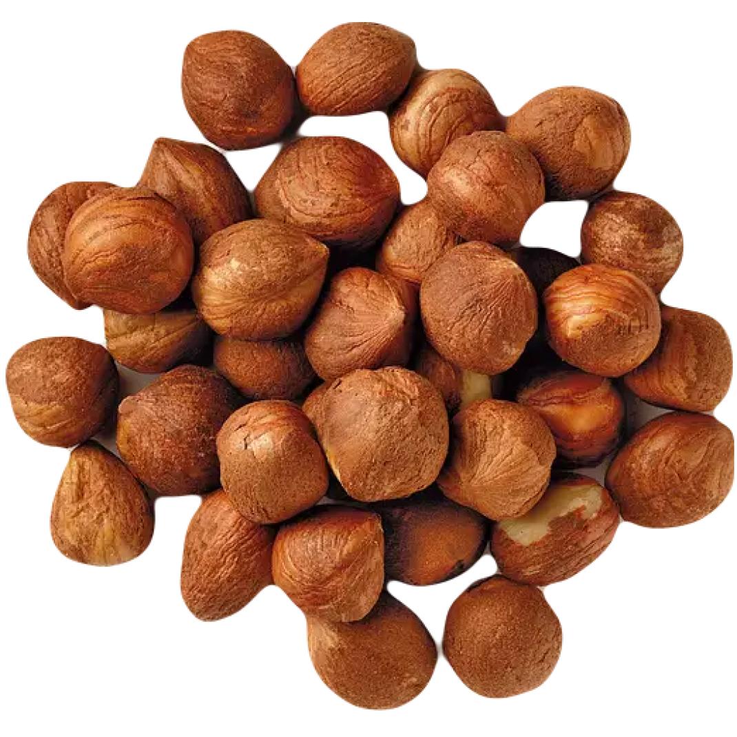 Фундук сирий