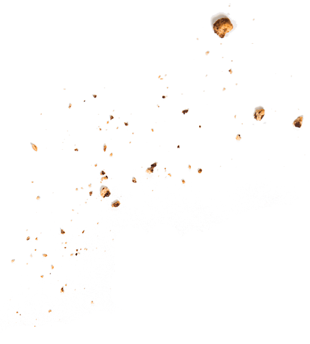 Crumbs