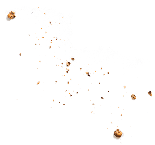 Crumbs
