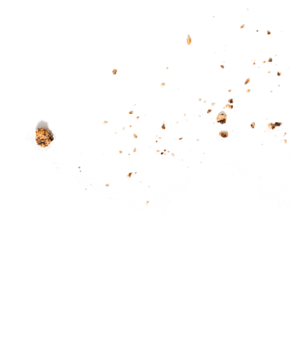 Crumbs